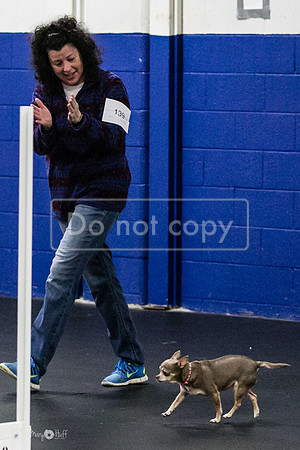 MCH51226