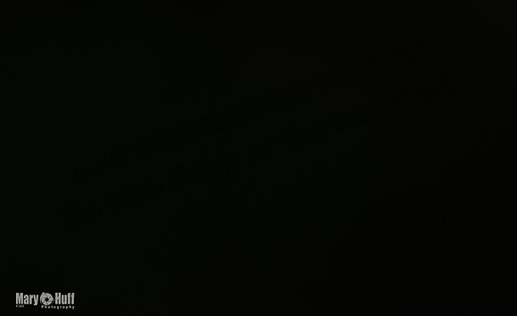 AE4I1558