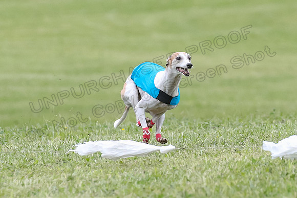 Finals Vets 4, Parker Marley Brag-2389