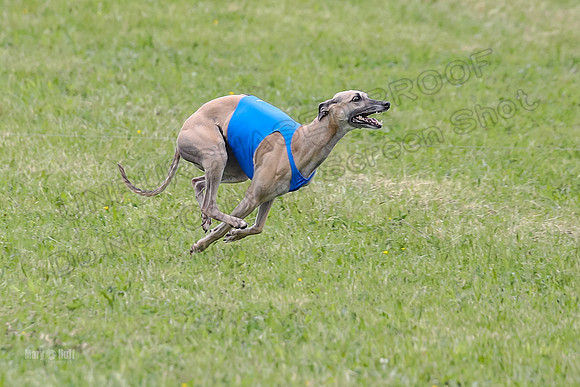 Prelim Veterans 4, Smokey Vulcan Justice-0188