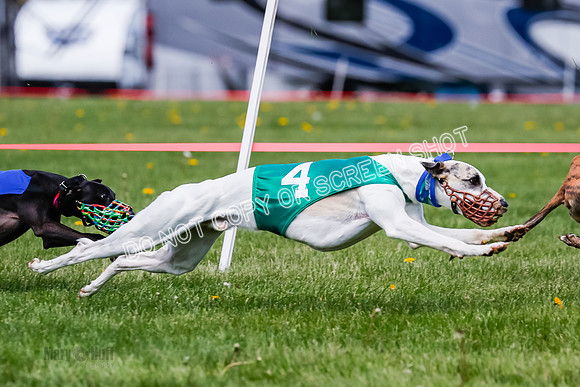 NOTRA Program 2, Race 8, Stoke Nami Nika Eddie-2-10