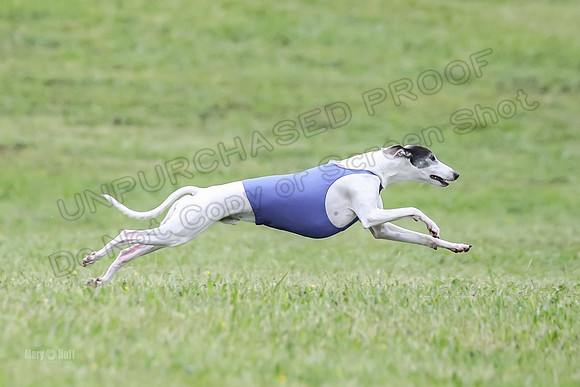 Prelim Open E2, Devo Wyatt Shadow-9085