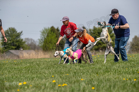 Finals Open F4 Easy Fenn Ace-3939