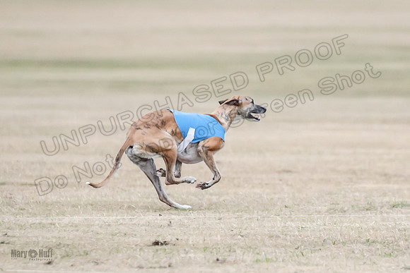 1Prelim Open 2 Shine Maverick Steel-3000