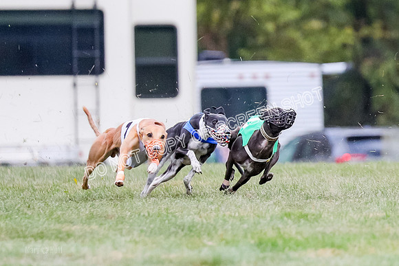 Prg 1, Race 16, Carl Maybe Bookie Sealli-0962