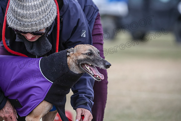 Finals Open 2 Cheese PeteySue Treble-3996