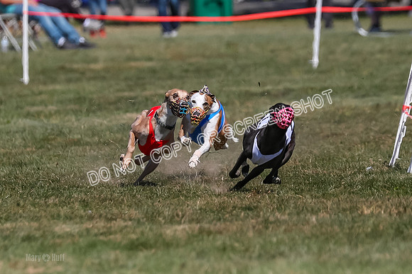 Prg 3, Race 6, Micky Sansa Power Arrow-2055