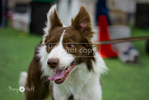 IMG_6660-Edit