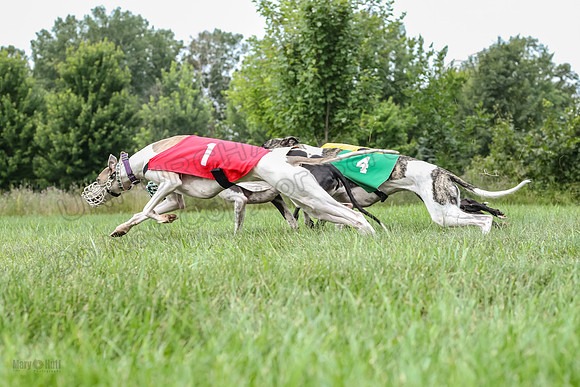 prg 1 race 2 Tissy Wallie Frankie Elsa-3515