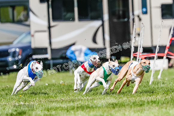 NOTRA Program 3, Race 3, Eddie Elvis Picanha Coyote-2-7