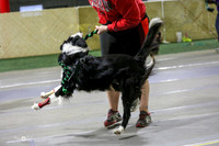 5  Wagging Tails Flyball-Ruff Position Stressed