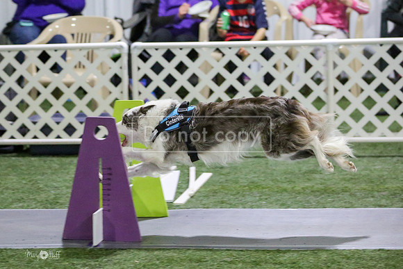 MCH55965