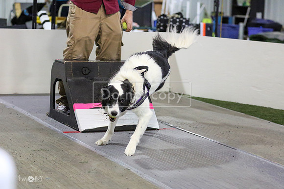 MCH56310