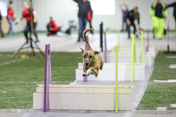 MCH56640