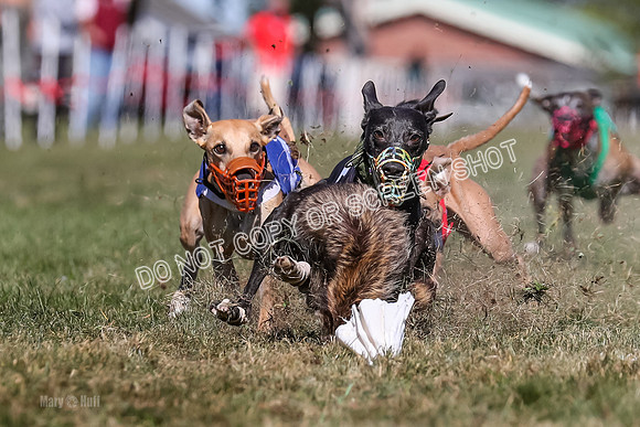 Prg 4, Race 5, Rasta Cammie Warrior Grim Buckwheat-0207