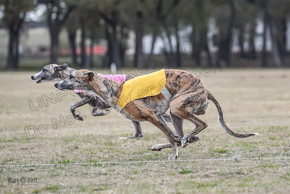 Finals Open 1 Steel Maverick Eggsy-3847