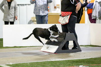 MCH51576