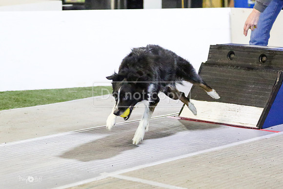 MCH51901