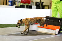 MCH52105