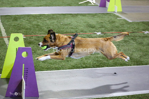 MCH53120