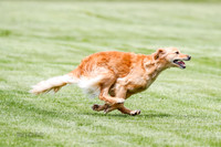 Cat Test 1-0391