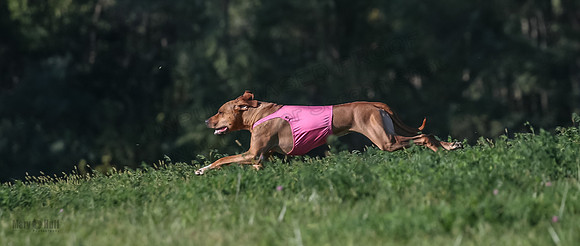 1 Prelims Open 1 Kinky Ash Zanna-4483