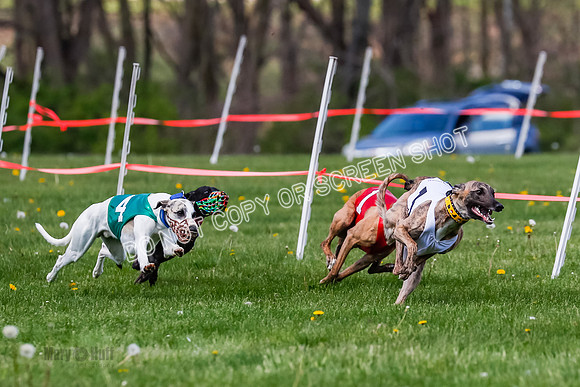 NOTRA Program 2, Race 8, Stoke Nami Nika Eddie-2