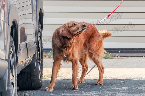 AE4I5001