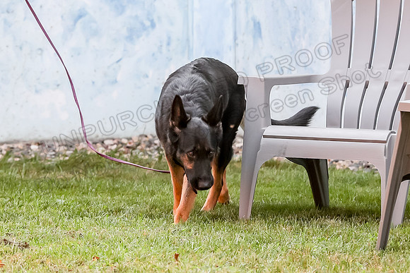 AE4I5489