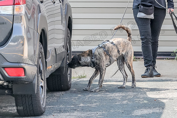 AE4I5403