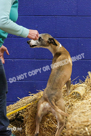 MCH57258