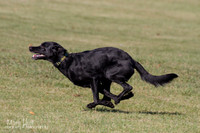 IMG_1535