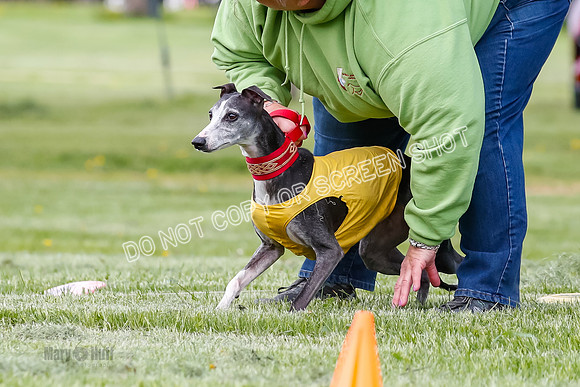 Finals, Veteran, Winnie-8904