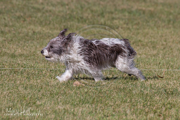 IMG_1897
