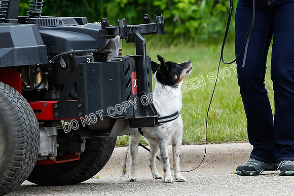 L3 Vehicle-7368