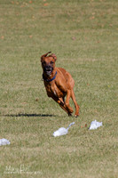 IMG_1742