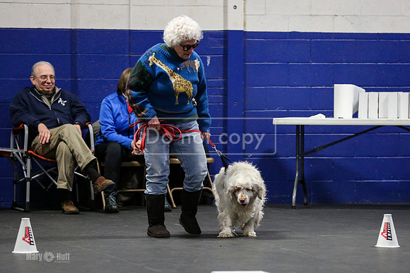 MCH57981