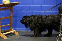MCH58967