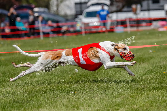 NOTRA Program 3, Race 5, Shakespeare Tsunami Bibi Kraken-2-8