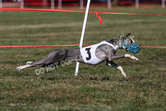 Prg 4, Race 4, Watson Sansa Elia Dusty-2567