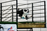 Splash 1