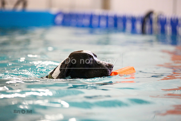 MCH55701