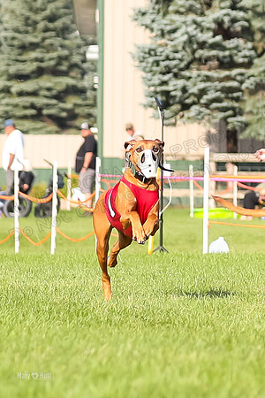 Program 1, Race 13 Doc Crue-6564
