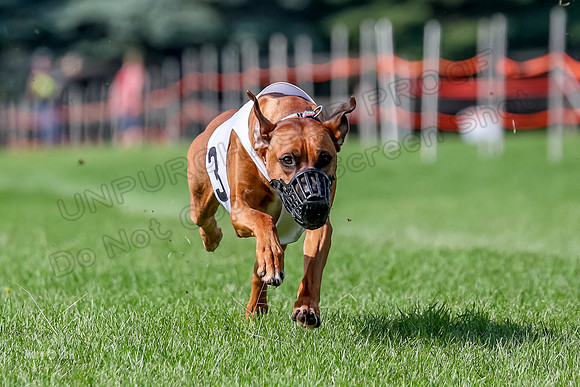 Program 2, Race 16 Xena Opal Crue Eve-7539