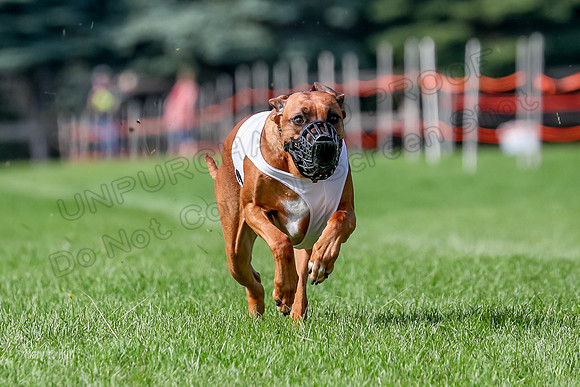 Program 2, Race 16 Xena Opal Crue Eve-7538