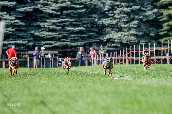 Program 2, Race 16 Xena Opal Crue Eve-7513