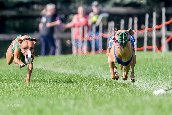 Program 2, Race 16 Xena Opal Crue Eve-7518