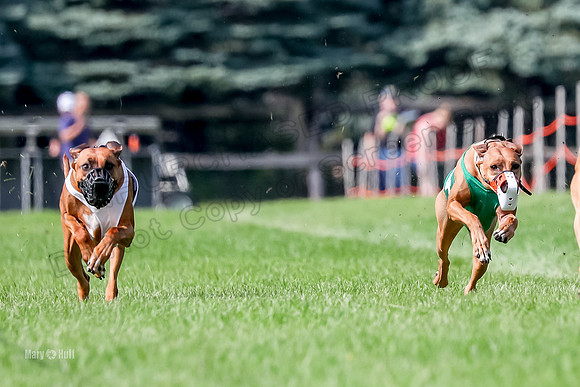 Program 2, Race 16 Xena Opal Crue Eve-7525