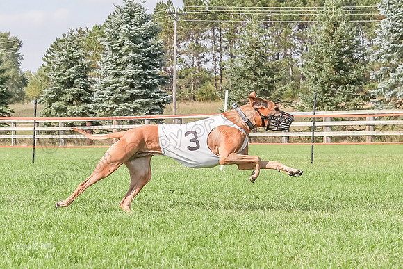 Program 3, Race 16 Opal Crue Xena Eve-8109