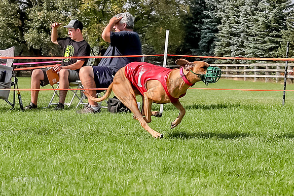 Program 3, Race 16 Opal Crue Xena Eve-8092